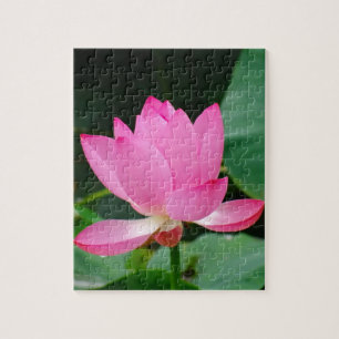 Pink Water Lily in a Pond Jigsaw Puzzle