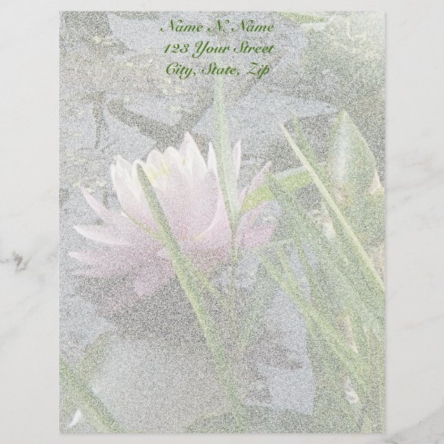 Pink Water Lily Letterhead (Front)