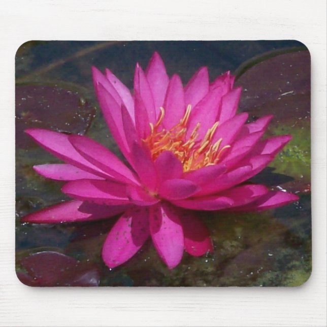 Pink Water Lily Mouse Pad (Front)