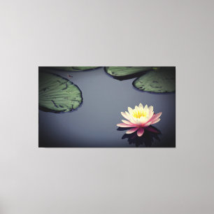 Pink Water Lily Photograph Canvas Print