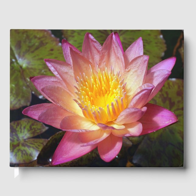 Pink Water Lily Photograph Guest Book (Front)