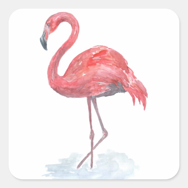 Pink watercolor Flamingo . Square Sticker (Front)