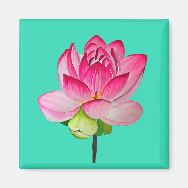 Pink watercolor lotus flower fine art magnet (Front)
