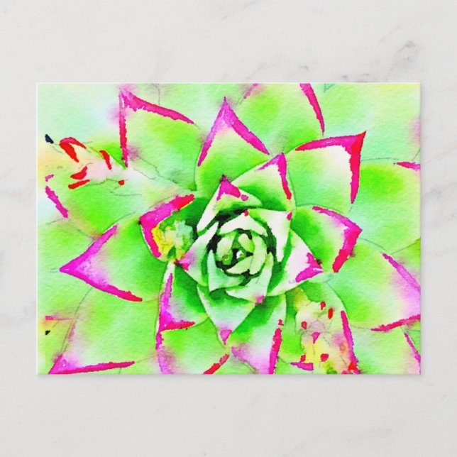 Pink Watercolor Succulent Postcard (Front)