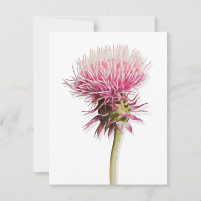 Pink Watercolor Thistle Wildflower In Bloom Card (Front)