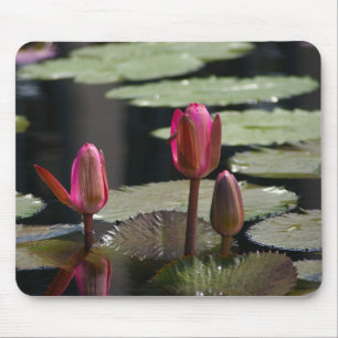 Pink Waterlilies Mouse Pad