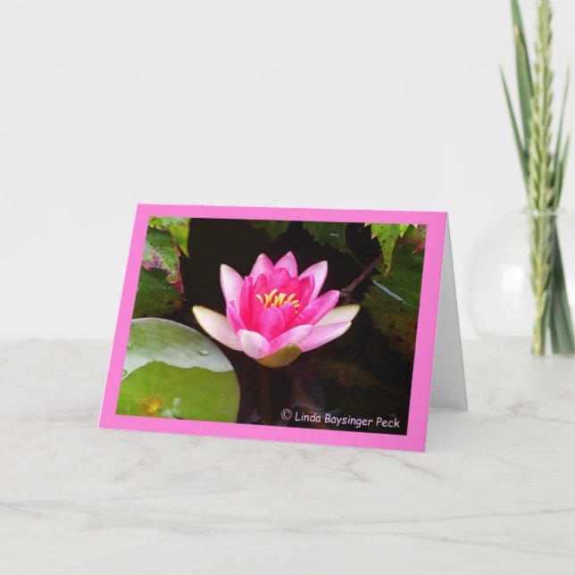 Pink Waterlily 4 Card (Front)