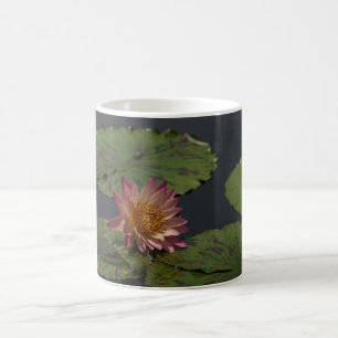Pink Waterlily Coffee Mug
