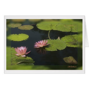 Pink waterlily - Customized