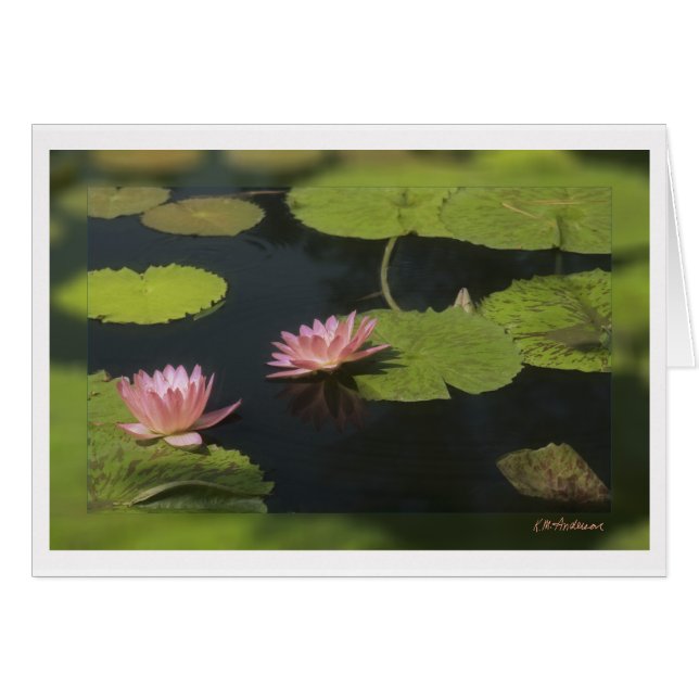 Pink waterlily - Customized (Front Horizontal)
