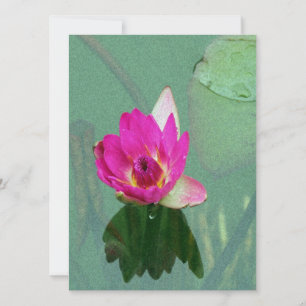 pink waterlily flower blank invitation