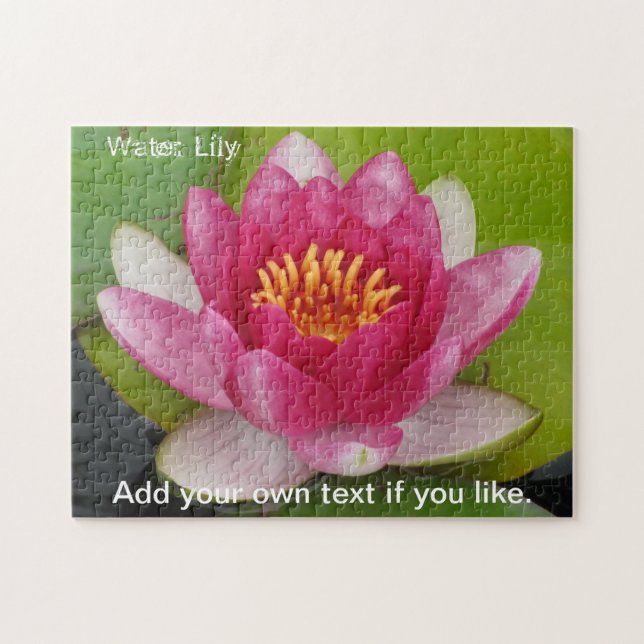 Pink Waterlily Jigsaw Puzzle (Horizontal)