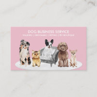 Pink White Dog Behaviorist