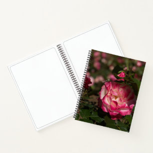 Pink & White Rose, Hardcover Notebook