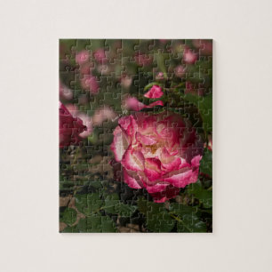 Pink & White Rose Jigsaw Puzzle