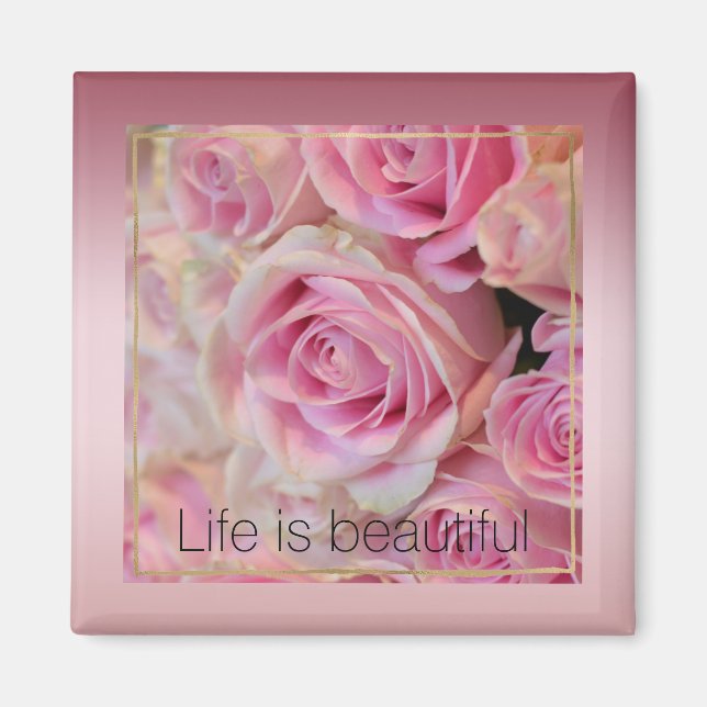 Pink White Roses Beautiful Moments           Magnet (Front)