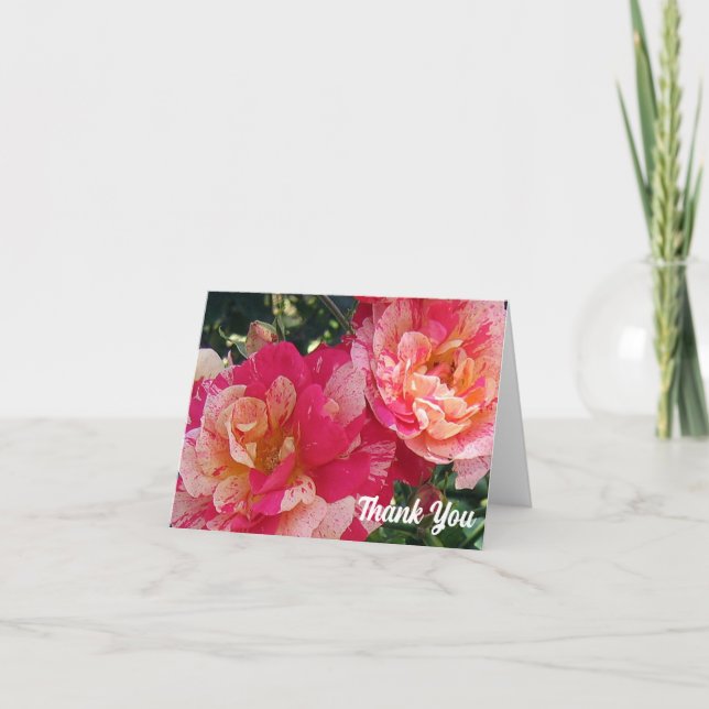 Pink White Striped Roses Thank You Note Card (Front)