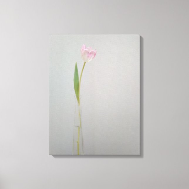 Pink White Tulip in Vase Canvas Print (Front)