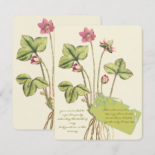 Pink Wild Flower Botanical  Dinner Invitations