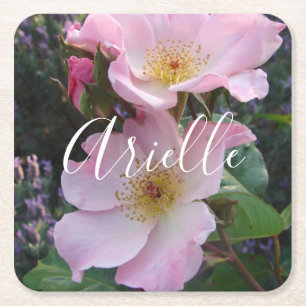 Pink Wild Rose Flower floral Photo Blush Pink  Square Paper Coaster