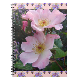 Pink Wild Rose Flower floral Photo Mom Mothers Day Notebook