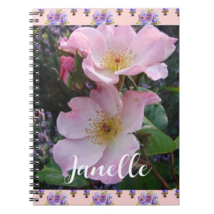 Pink Wild Rose Flower floral Photo Mom Mothers Day Notebook