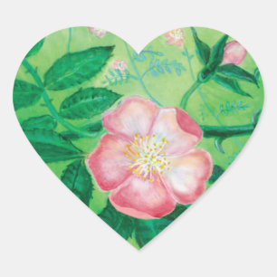 Pink Wild Rose Illustration Heart Sticker