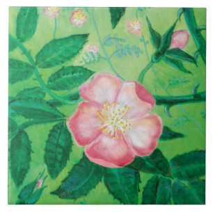 Pink Wild Rose Illustration Tile