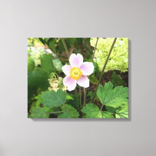 Pink Wildflower Canvas Print   Botanical Floral Wa