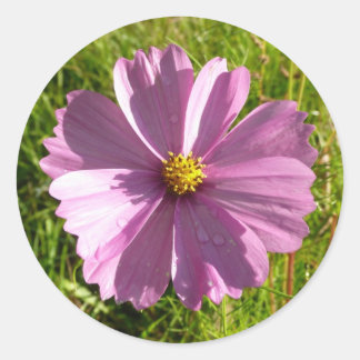 Pink Wildflower Classic Round Sticker