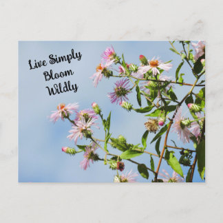 Pink Wildflower on Blue Quote  Postcard