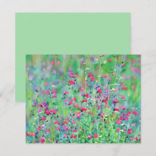 Pink Wildflower Salvia Flower Art Note Card Set