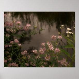Pink Wildflowers By Stream Poster