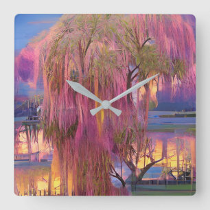Pink Willow tree at sunset by the pond  Square Wall Clock