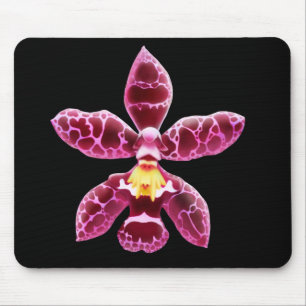 Pink Wilsonara Orchid Flower Mouse Pad