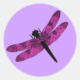 Pink Winged Dragonfly Classic Round Sticker