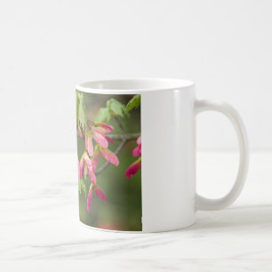Pink Winged Sycamore Seeds - Acer pseudoplatanus Coffee Mug
