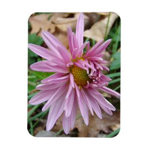 Pink Wink Magnet