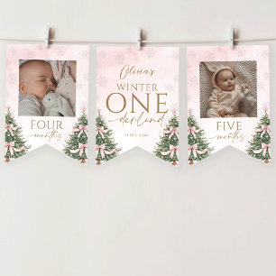 Pink Winter Onederland 1st Birthday Monthly Photo Bunting Flags