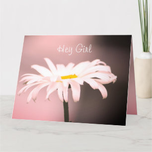 Pink With White Daisy Card