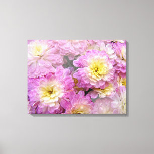 Pink With Yellow Tones Chrysanthemums Canvas Print