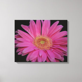 Pink Wrapped Canvas