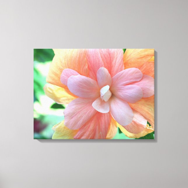 Pink, Yellow and Orange Hibiscus Flower Canvas Print (Front)