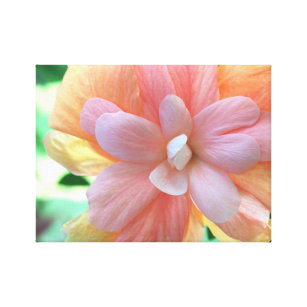 Pink, Yellow and Orange Hibiscus Flower Canvas Print