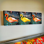 Pink Yellow Flamingos Trio Photo Dare Quote Modern Canvas Print<br><div class="desc">I love how flamingos stand out from all other birds. “Dare to be different” whenever you gaze at this stylish, stunning art canvas photo of two bright orange pink flamingos & one daring yellow one sunning themselves on a warm summer’s day. Makes a great uplifting and inspirational gift! You can...</div>