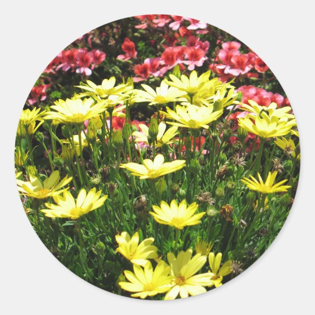 Pink & Yellow Flowers Classic Round Sticker (Front)