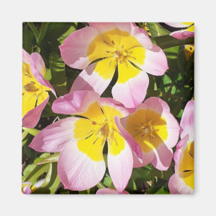 Pink & Yellow Flowers Magnet