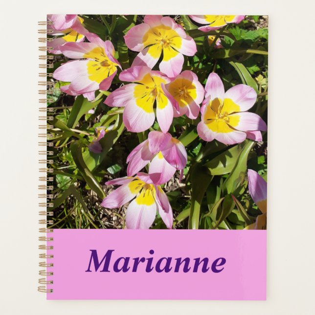 Pink & Yellow Flowers  Planner (Front)
