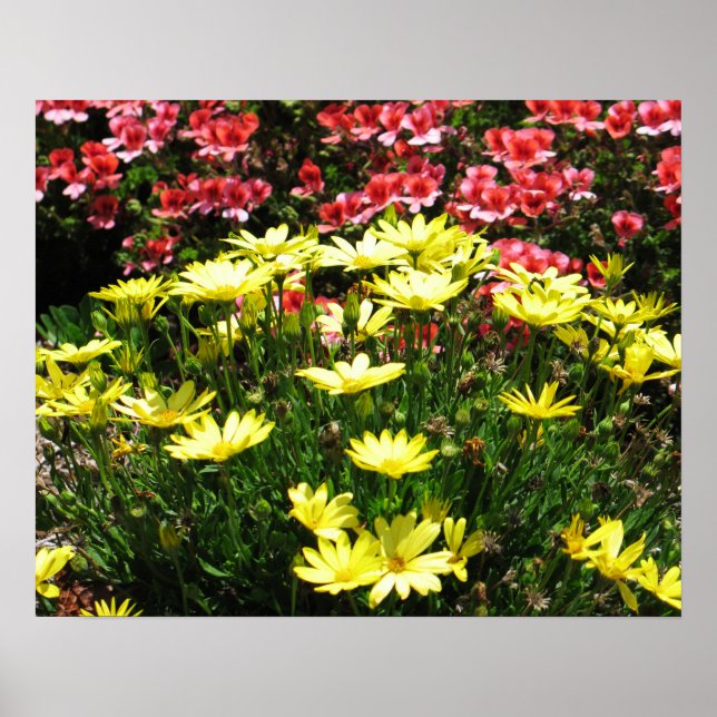 Pink & Yellow Flowers Poster (Front)