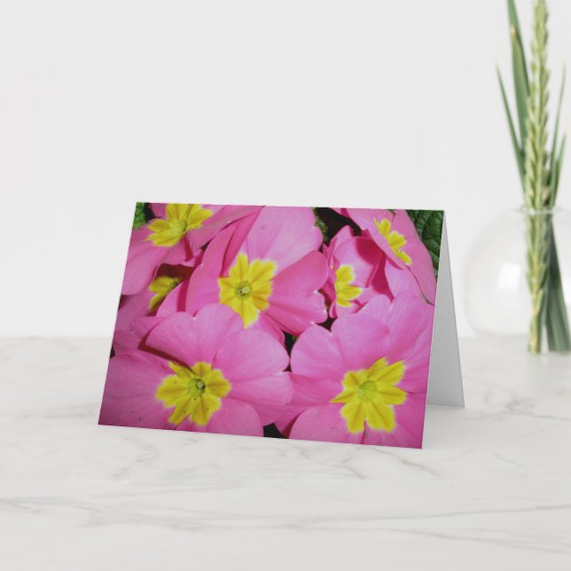 Pink Yellow Primrose Note Card (Front)